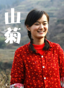 播播四房